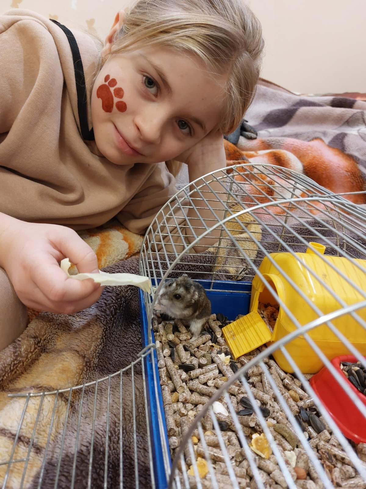 393165341 887922969784999 5672218414691343971 n